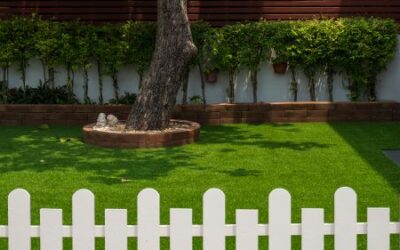Pros and Cons of Astroturf in Backyard