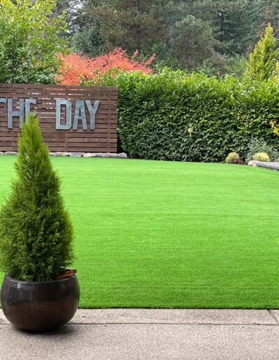 Residential Synthetic Grass Services - Win The Day