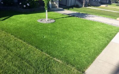 Why Would I Install Synthetic Turf and Not Keep My Natural Grass?