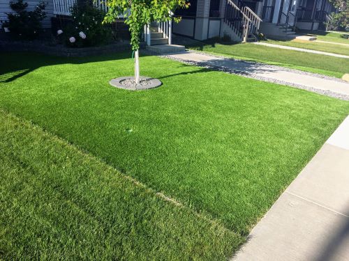 Why Would I Install Synthetic Turf and Not Keep My Natural Grass?